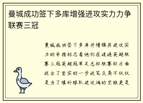 曼城成功签下多库增强进攻实力力争联赛三冠