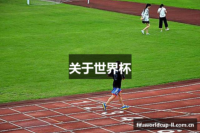 关于世界杯